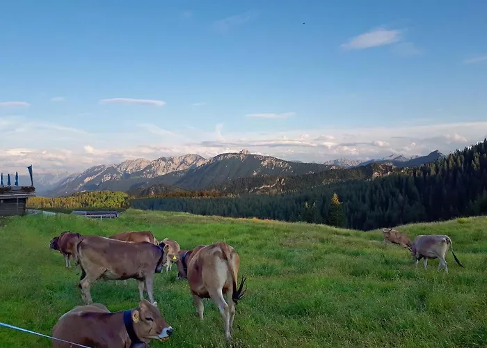 Am Muehlbach شقة *